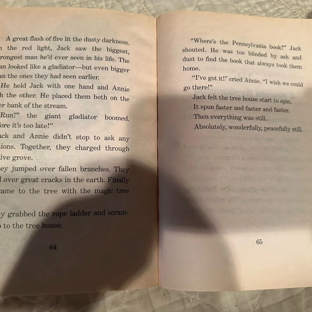 Vacation under the volcano- Magic tree house #13 - Picture 10 of 12